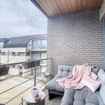 Rent 2 bedroom apartment in Denderleeuw