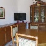 Rent 2 bedroom apartment of 45 m² in Cento