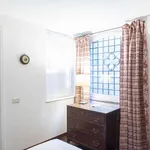 Rent 1 bedroom apartment in rome