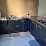 Rent 1 bedroom house of 12 m² in Pisa