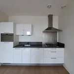 Rent 2 bedroom apartment of 93 m² in Roermond