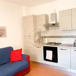 Rent 2 bedroom apartment of 45 m² in Pisa