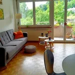 2 room apartment in Schaffhausen, furnished, temporary