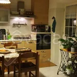 Rent 2 bedroom apartment of 75 m² in Palestrina