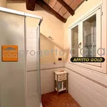 1-bedroom flat excellent condition, first floor, Centro, Spilamberto