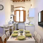 Rent 3 bedroom apartment of 75 m² in Pisa