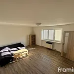 Rent 1 bedroom apartment in Blansko