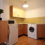 Rent 1 bedroom apartment of 30 m² in Prague