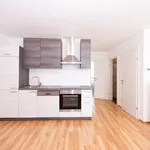 Rent 2 bedroom apartment of 54 m² in Graz