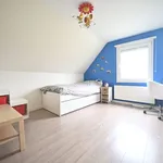  maison avec 4 chambre(s) en location à Meslin-l'Evèque