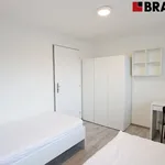 Rent 2 bedroom apartment in Brno