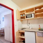 Rent 1 bedroom apartment of 30 m² in Prague