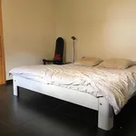 Rent 1 bedroom apartment in Hoeilaart