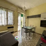 Rent 3 bedroom apartment of 45 m² in Pisa