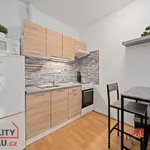 Rent 1 bedroom apartment of 31 m² in Hradec Králové