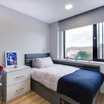 Rent 1 bedroom student apartment of 25 m² in Dublin 1