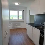 Rent 4 bedroom apartment in Pratteln