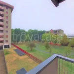 Rent 2 bedroom apartment of 54 m² in Milano