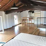 Rent 4 bedroom apartment of 100 m² in Bologna