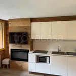 Rent 2 bedroom apartment of 45 m² in Pinzolo