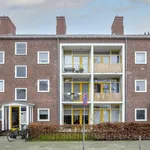 Huur 1 slaapkamer appartement van 55 m² in Breda