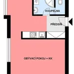 Rent 1 bedroom apartment of 36 m² in Brno