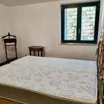 Rent 2 bedroom apartment of 80 m² in Roma