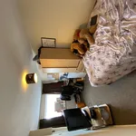 Rent 6 bedroom house in Worcester