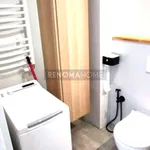 Rent 2 bedroom apartment of 36 m² in Wrocław