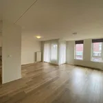 Huur 3 slaapkamer appartement van 65 m² in Eindhoven