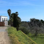 Rent 5 bedroom house in Es Cubells