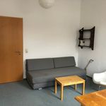 Rent 1 bedroom apartment of 37 m² in Dresden