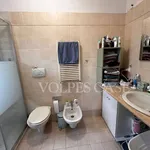 Rent 2 bedroom apartment of 50 m² in Rome