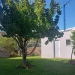 Rent 6 bedroom house in Lisbon