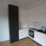 Rent 2 bedroom apartment of 46 m² in Mieszkanie w centrum miasta