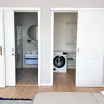 Pronajměte si 1 ložnic/e byt o rozloze 49 m² v Prague