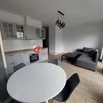 Rent 1 bedroom apartment of 31 m² in Tarnów