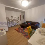 Rent 2 bedroom apartment of 80 m² in padova