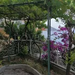 Rent 4 bedroom apartment of 140 m² in Laigueglia