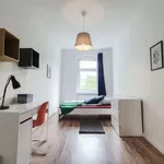 Rent a room in berlin