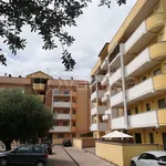 Rent 4 bedroom apartment of 100 m² in Chieti