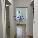 Rent 2 bedroom apartment of 35 m² in Čejč