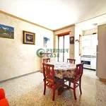 Rent 2 bedroom apartment of 50 m² in Turin