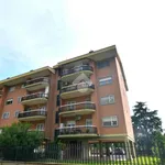 Rent 5 bedroom apartment of 150 m² in Roma