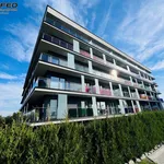 Rent 3 bedroom apartment of 60 m² in Bielsko-Biała