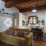 Rent 2 bedroom apartment of 60 m² in Vicopisano