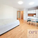 Rent 1 bedroom apartment in Capital City of Prague