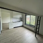 Kamer van 25 m² in Groene Weide