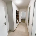 Pronajměte si 3 ložnic/e byt o rozloze 78 m² v Prague