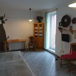 Pronájem bytu 1+kk 30m²